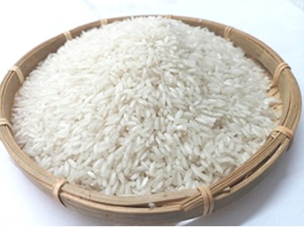 Rice