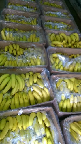 Green banana