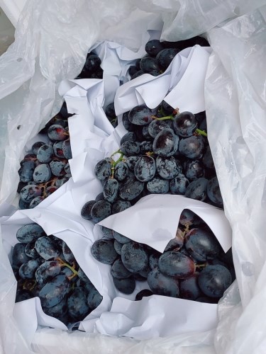 Black grapes