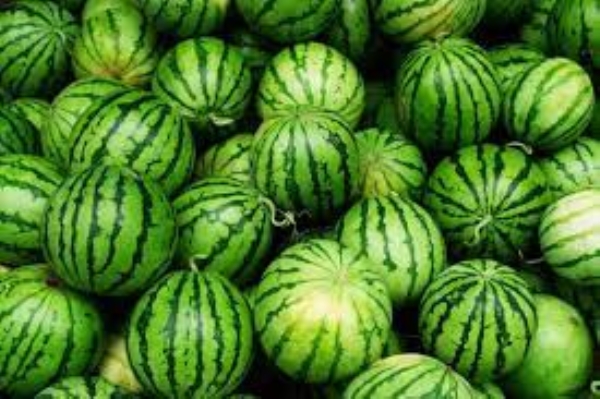 Watermelon
