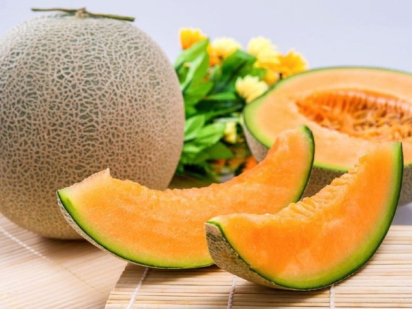 Cantaloupe melon