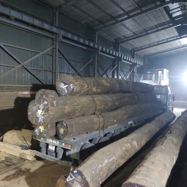 South African ironwood