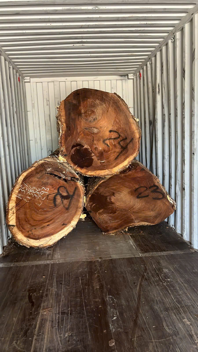 South American raintree wood