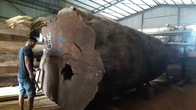 South African African sapele wood