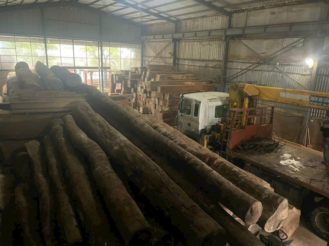 South American raintree wood