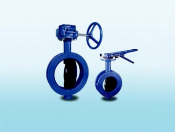 Butterfly valve
