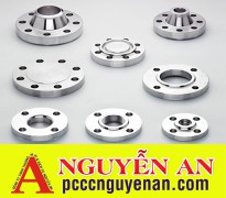 ANSI Flange