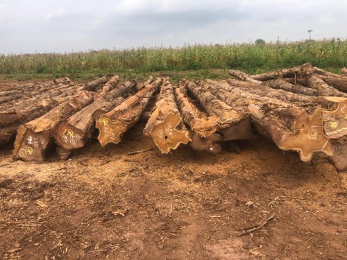 Teak Timber