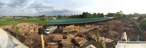 Dried Sawn Timber