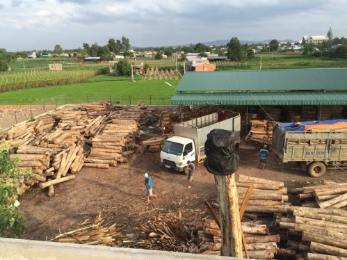 Dried Sawn Timber