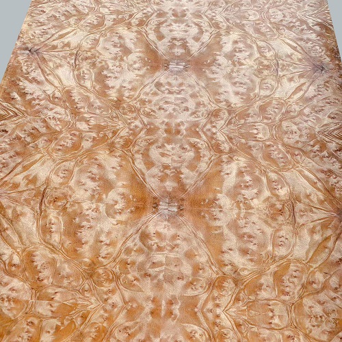 Golden Camphor Burl Veneer