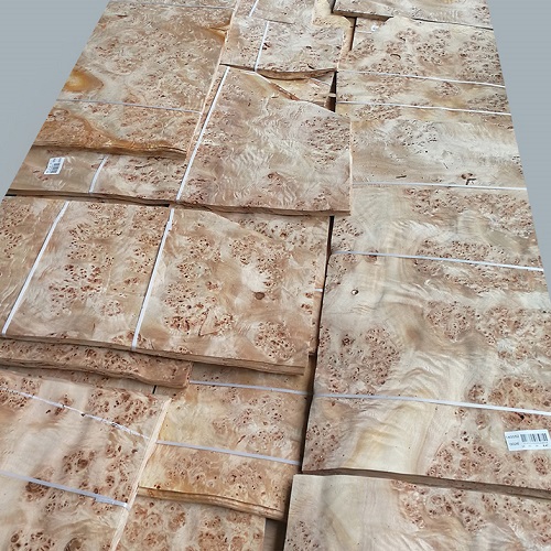 Mappa Burl Veneer