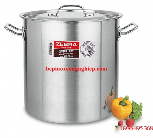 Stainless Steel Pot