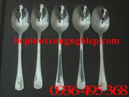 Stainless Steel Spoon
