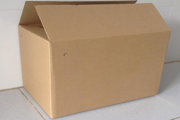 Carton packaging