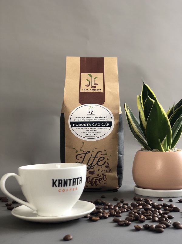 Robusta Coffee