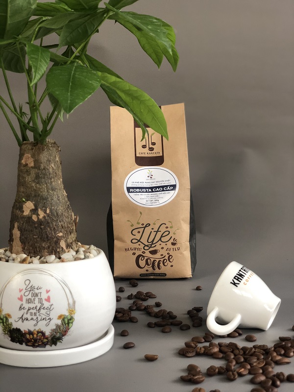 Robusta Coffee
