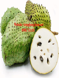 Annona flavor