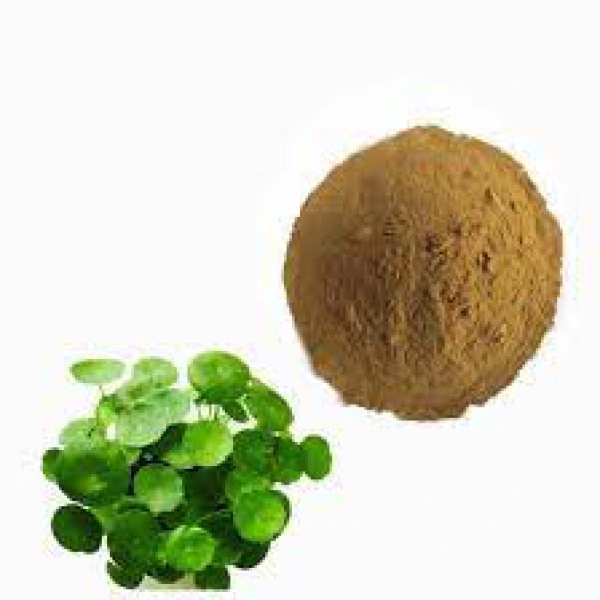 Gotu Kola Extract
