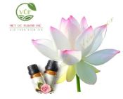 White lotus essential oil