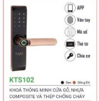 Smart lock for wooden, composite, and steel doors