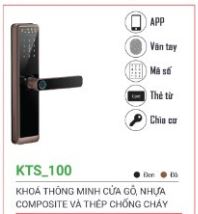 Smart lock for wooden, composite, and steel doors