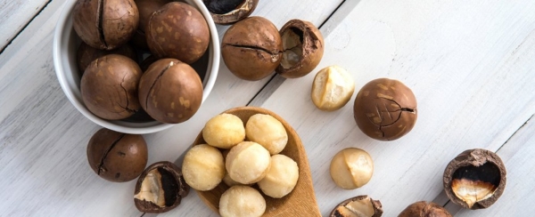 Macadamia nuts