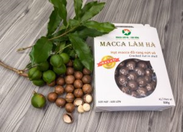 Macadamia nuts