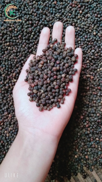 Black Pepper 550 GL