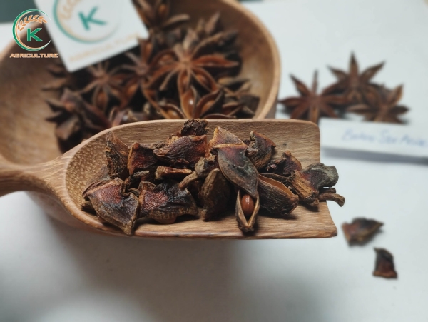 Broken Star Anise