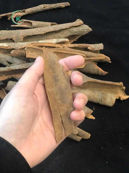 Broken Cinnamon