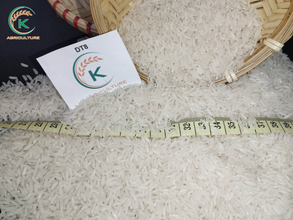 DT08 Rice