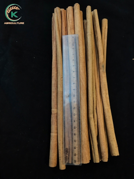 Stick Cinnamon