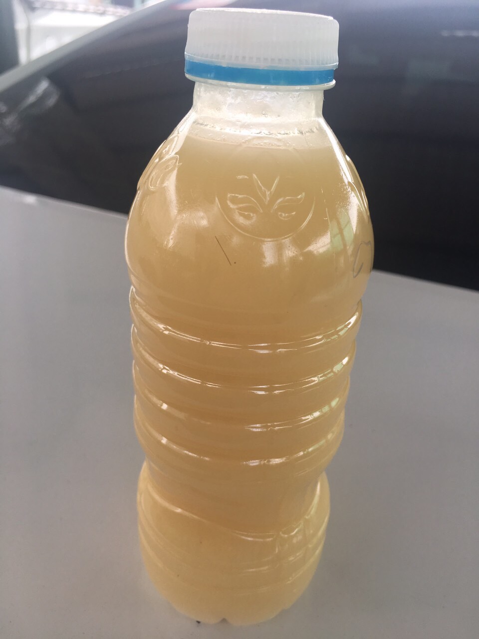 Fish fat