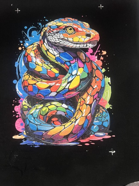 Silk screen T-shirt printing