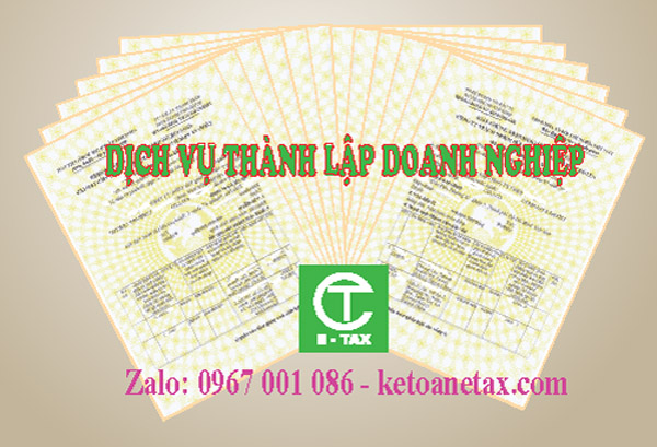 2-member limited liability company establishment consulting service