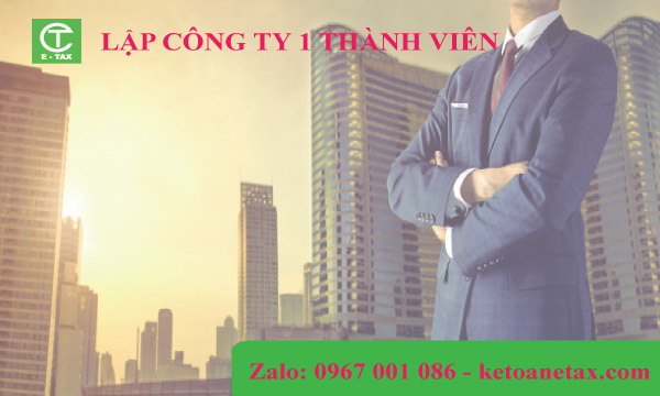 1-member limited liability company establishment consulting service