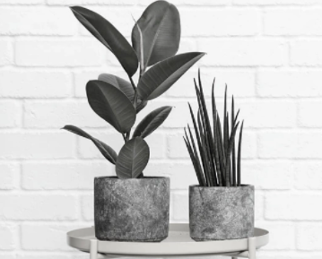 Concrete flower pot