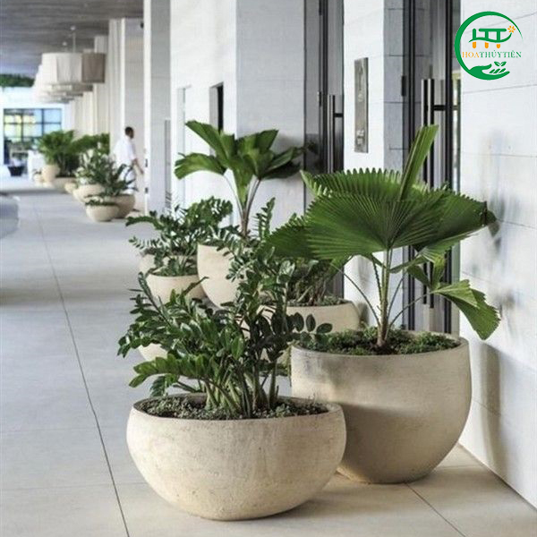 Grinding stone planting pot