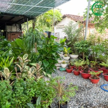 Garden landscape design