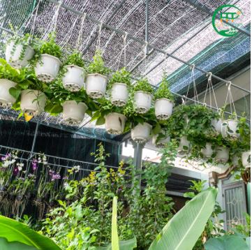 Garden landscape design