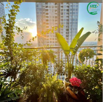 Garden landscape design
