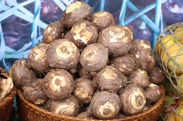 Taro