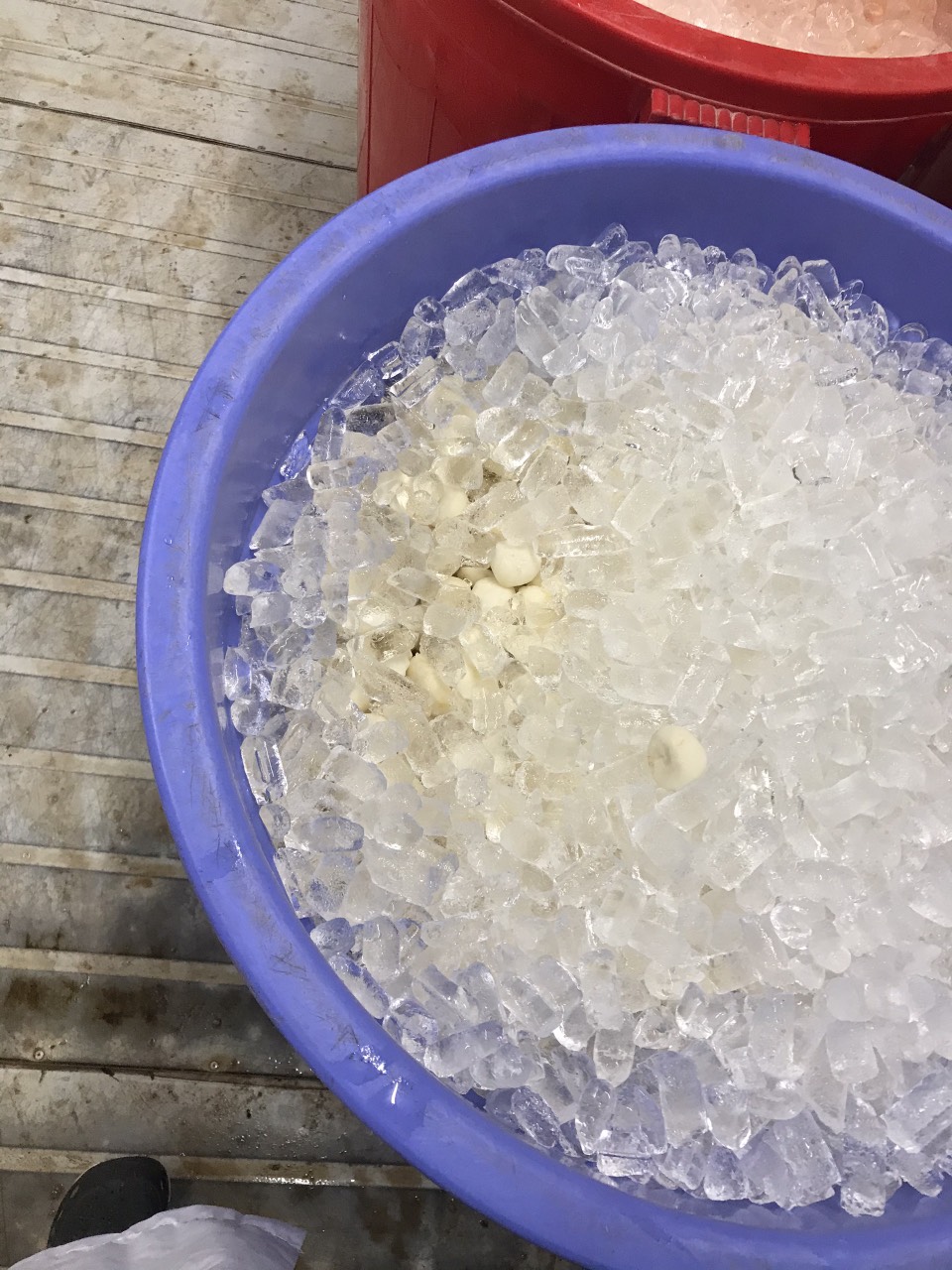 Peeled water chestnut