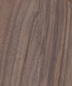 Veneer Plywood