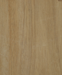 Veneer Plywood