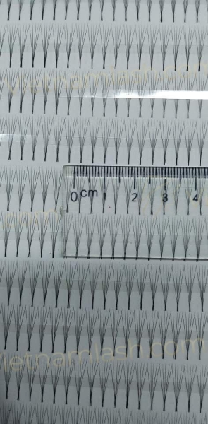 Narrow Eyelashes