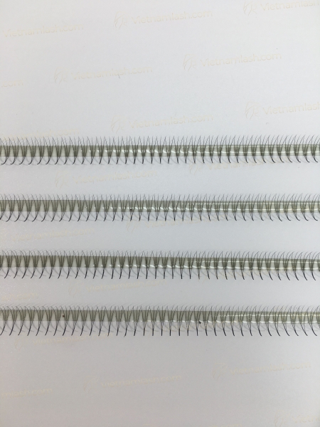 Narrow Eyelashes