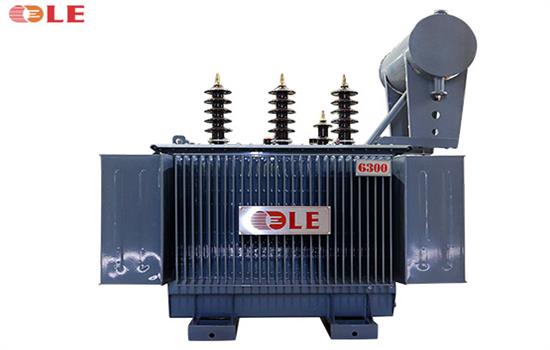 Hydro Power Transformer 6300 kVA