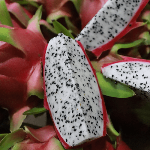Dragon Fruit White Flesh